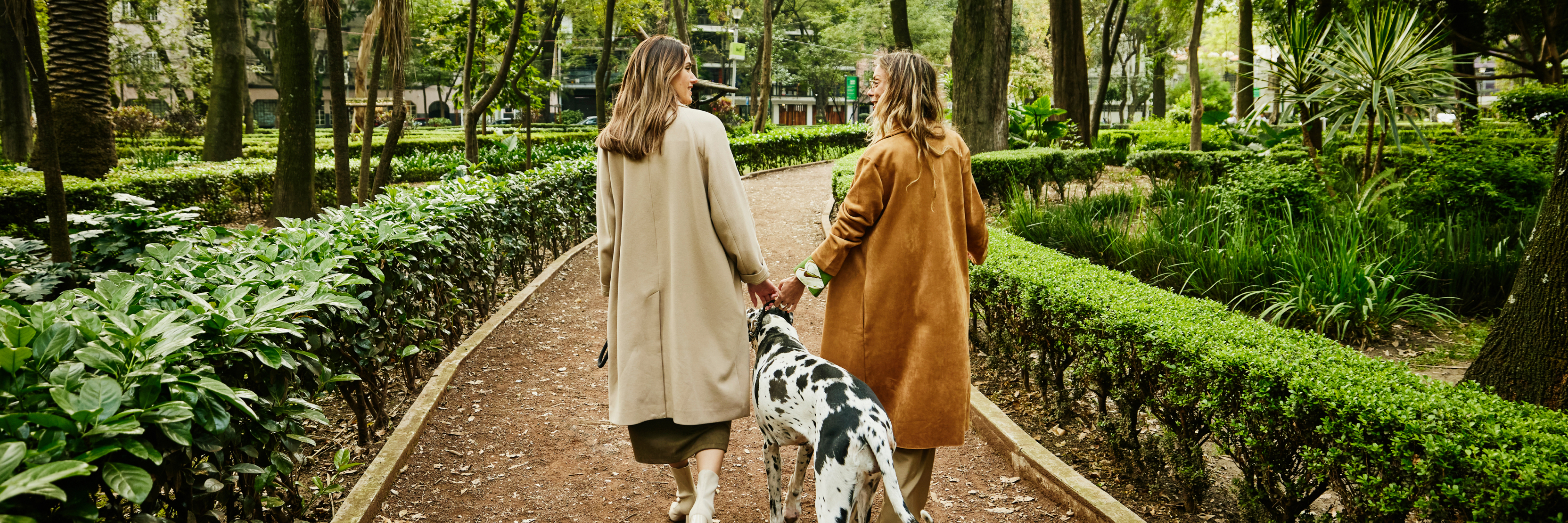 Elevate your everyday personal checking with a Gold Account